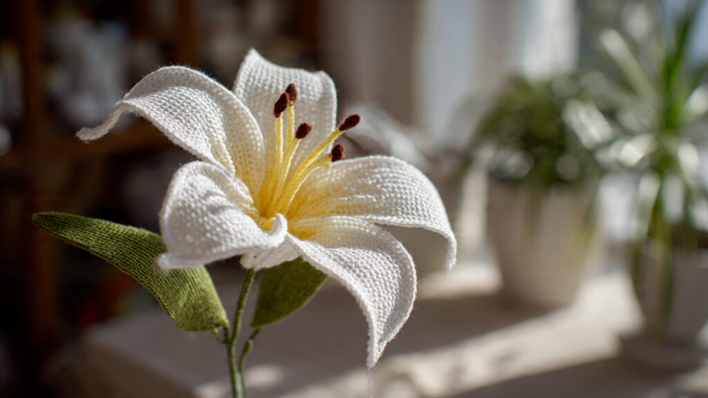 25 Beautiful Crochet Flower Ideas for Beginners and Experts a white crochet lily with long petals
