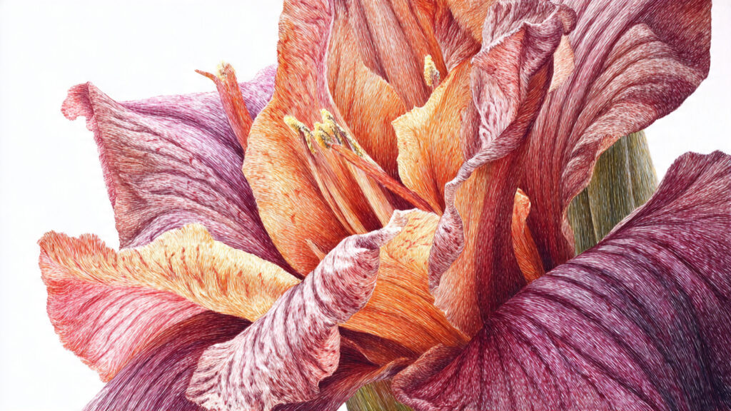 12 Botanical Art Styles Explained realistic colored pencil botanical drawing of a