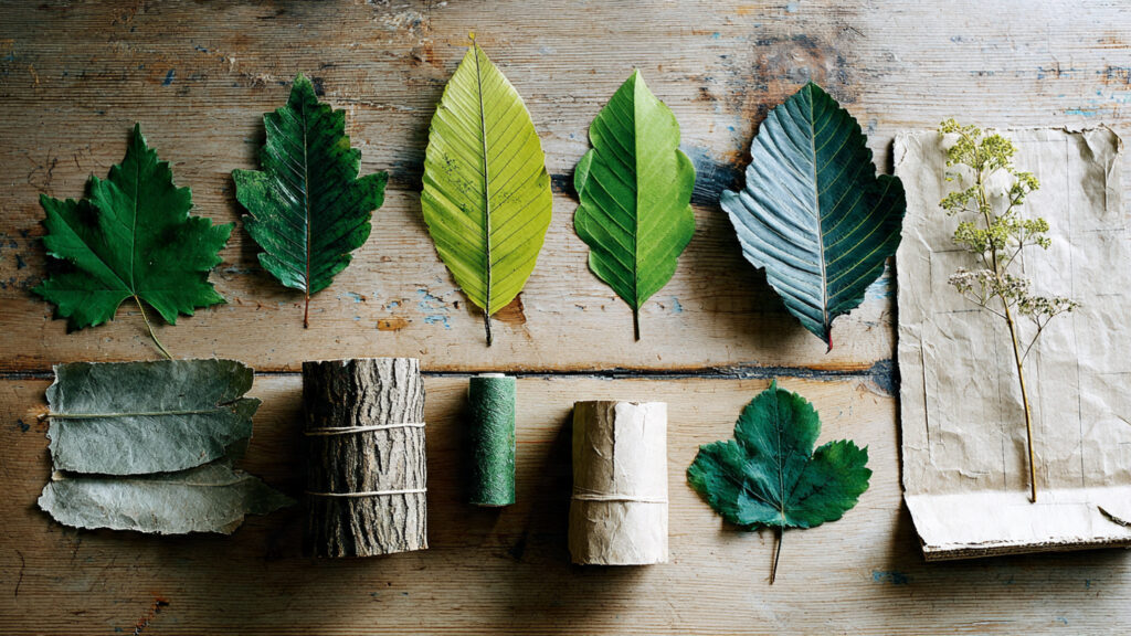 Creative St. Patrick’s Day Art & Craft Ideas For Celebration eco friendly st patricks day craft using leaves an
