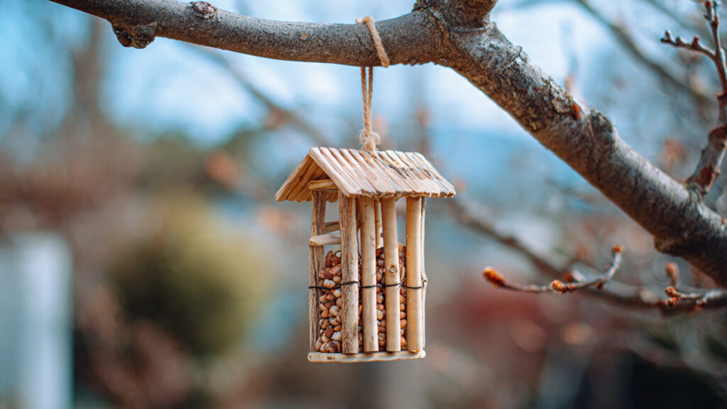 handmade popsicle stick bird feeder hanging from t