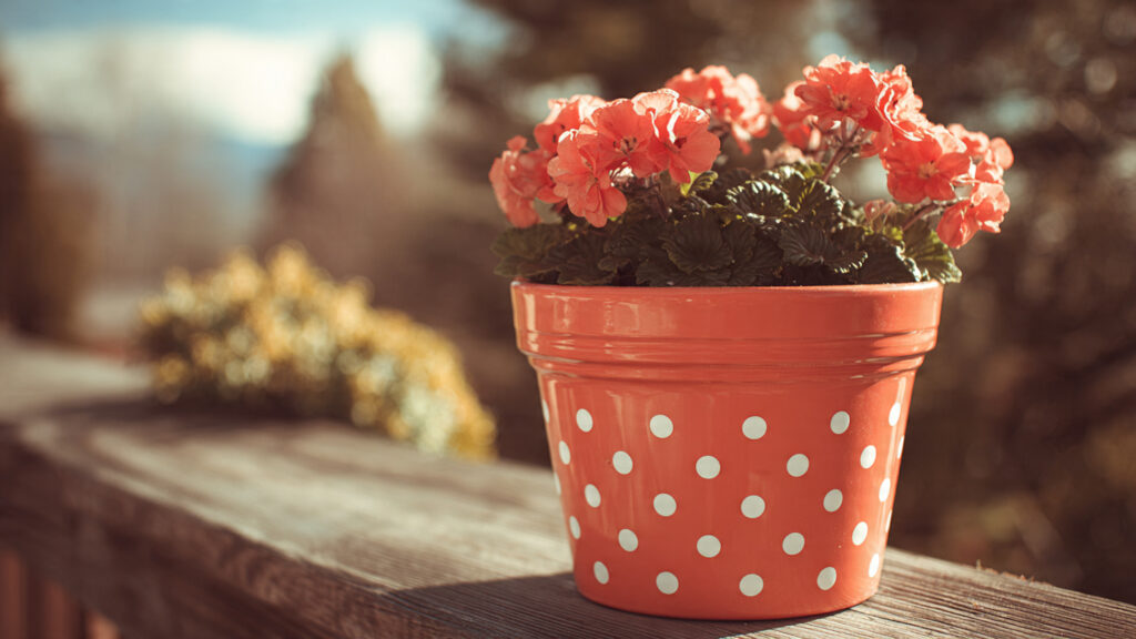 25 Creative Flower Pot Painting Ideas for DIY Garden Décor bright coral flower pot with white polka dots chee